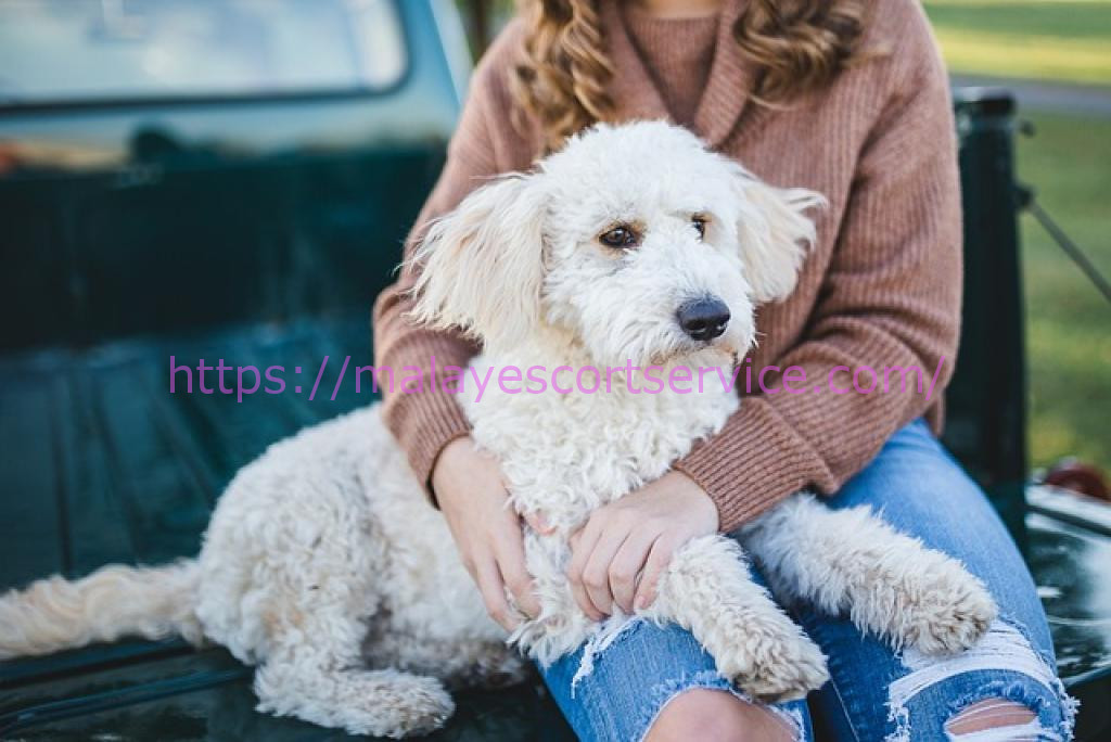 Woman cuddling a fluffy white dog.