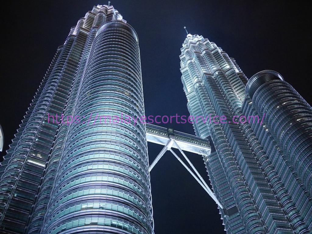Night view of the Petronas Twin Towers in Kuala Lumpur.