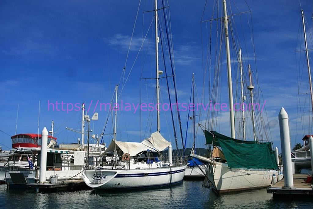 Sailboats docked at a marina on a sunny day.